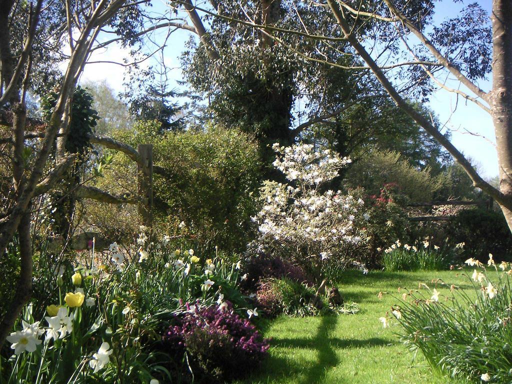 Bed and Breakfast Woodgate Farm Tenterden Exterior foto